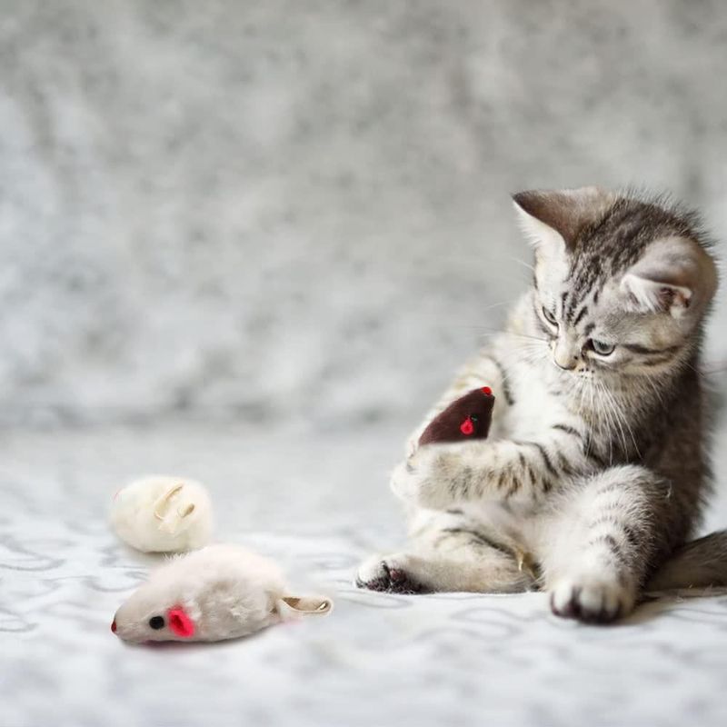 Juguetes para gato Pawstrip Ratón de peluche con sonajero y chirrido - 12 piezas