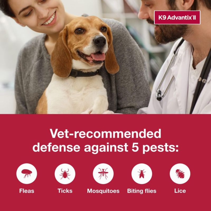 Tratamiento contra pulgas garrapatas y mosquitos K9 Advantix II para perros medianos