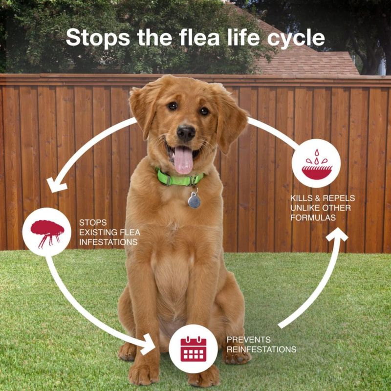 Tratamiento contra pulgas garrapatas y mosquitos K9 Advantix II para perros medianos