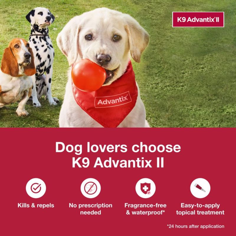 Tratamiento antipulgas garrapatas y mosquitos K9 Advantix II XL para perros 25 kg
