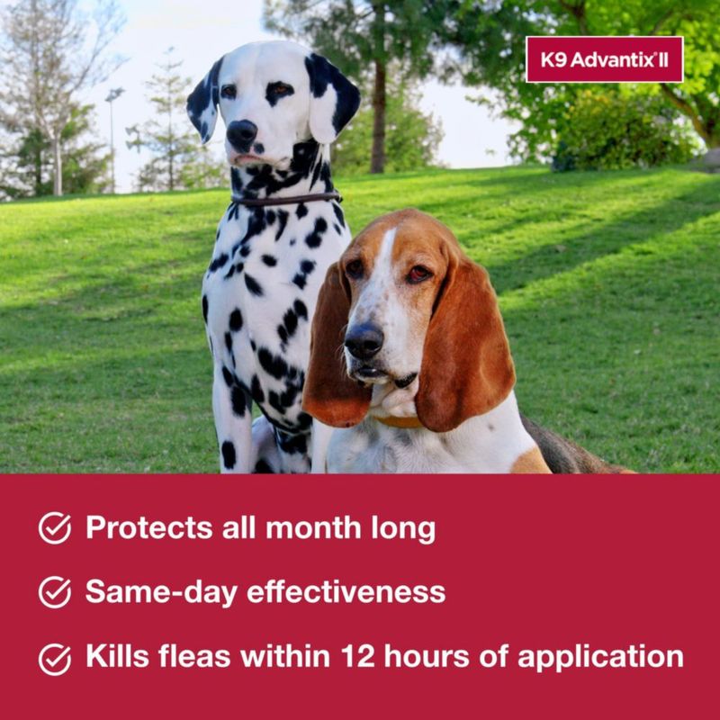 Tratamiento antipulgas garrapatas y mosquitos K9 Advantix II XL para perros 25 kg