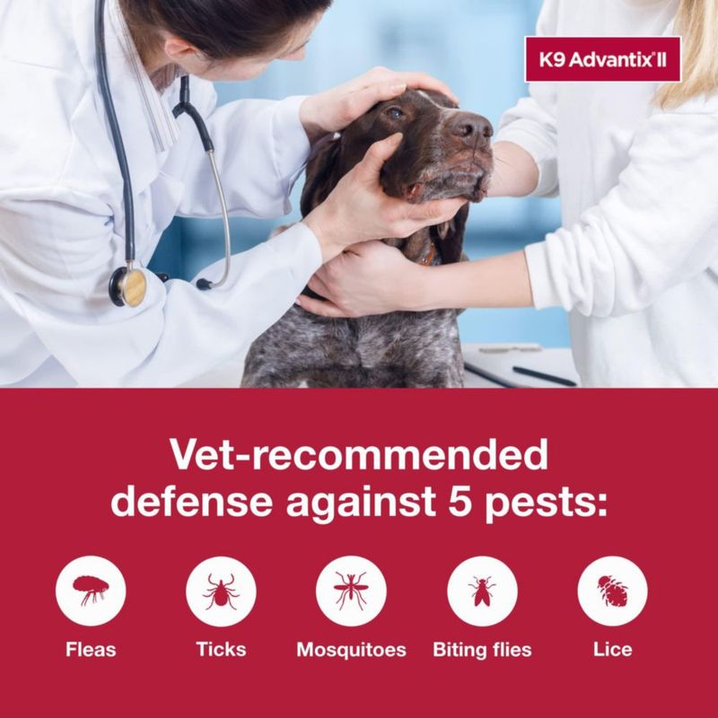 Tratamiento antipulgas garrapatas y mosquitos K9 Advantix II XL para perros 25 kg