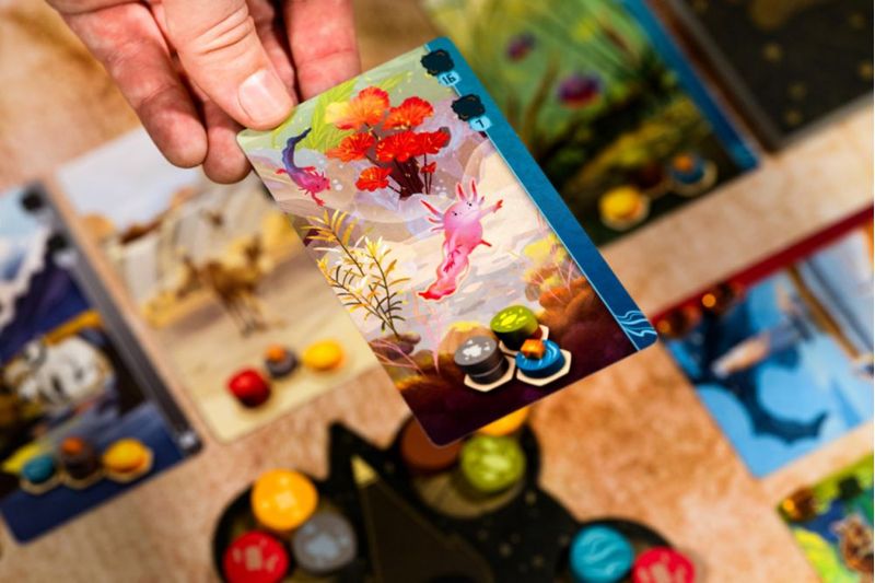 Expansión Pulse para el juego de mesa Harmonies de Libellud