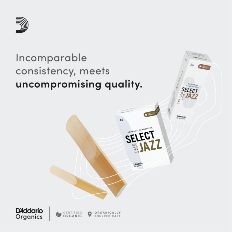 Cañas para saxofón alto D'Addario Organic Jazz sin ranurar 2M (paquete de 3)