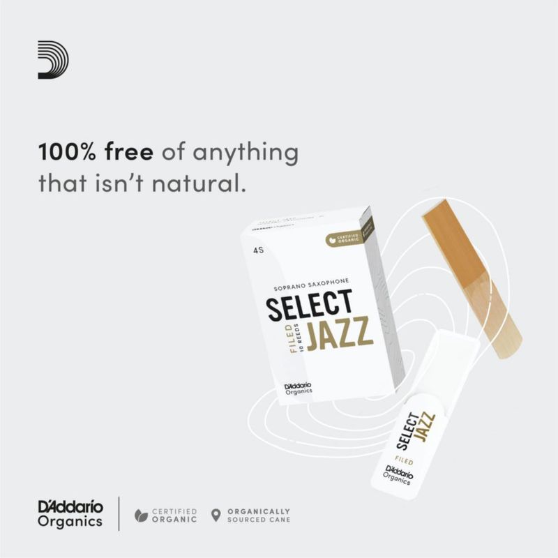 Cañas para saxofón alto D'Addario Organic Jazz sin ranurar 2M (paquete de 3)