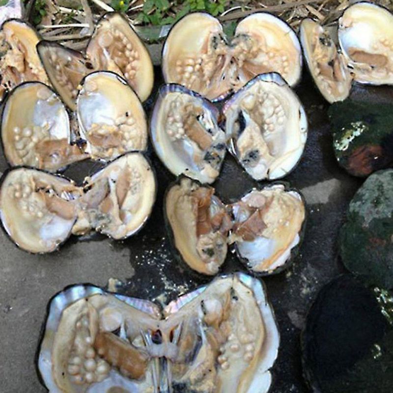 Perlas de Ostra POSHOPS – Perlas Cultivadas de Agua Dulce