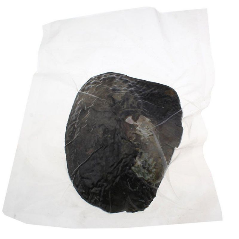 Perlas de Ostra POSHOPS – Perlas Cultivadas de Agua Dulce