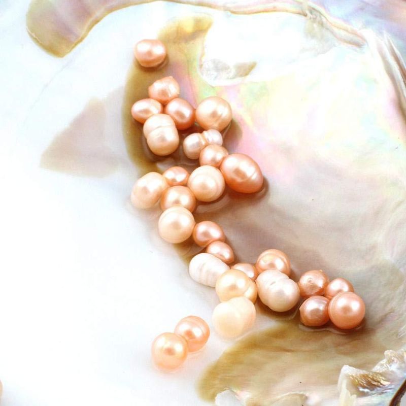 Perlas de Ostra POSHOPS – Perlas Cultivadas de Agua Dulce