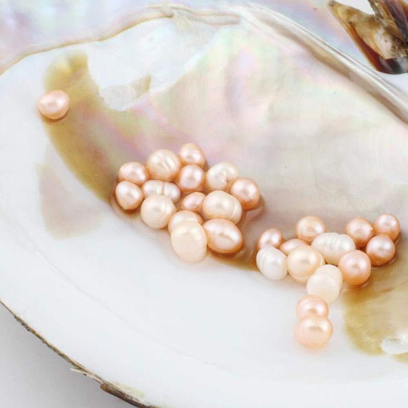 Perlas de Ostra POSHOPS – Perlas Cultivadas de Agua Dulce