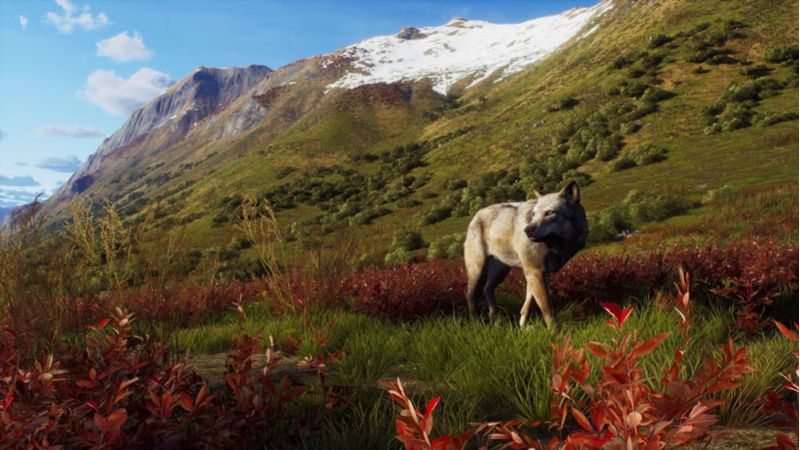 Videojuego THQ Nordic Way of the Hunter - PS5