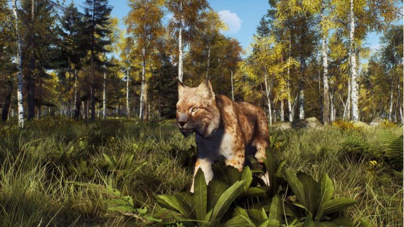 Videojuego THQ Nordic Way of the Hunter - PS5