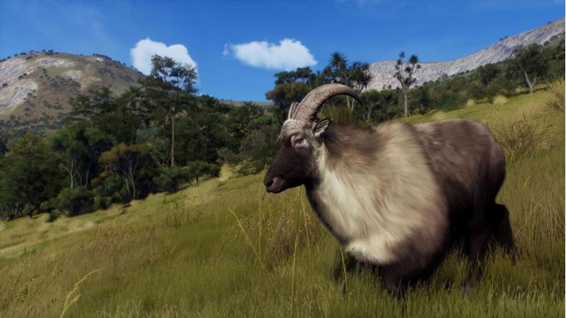 Videojuego THQ Nordic Way of the Hunter - PS5