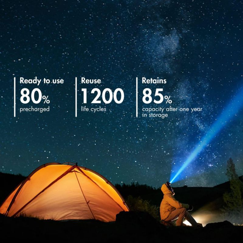Batería recargable NiMH Tenergy D 10.000 mAh paquete de 12 unidades