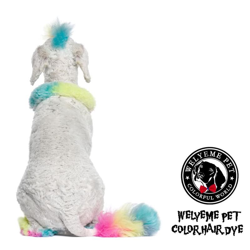 Tinte para Pelo de Perro WELYEME Púrpura 150 ml Permanente y Seguro