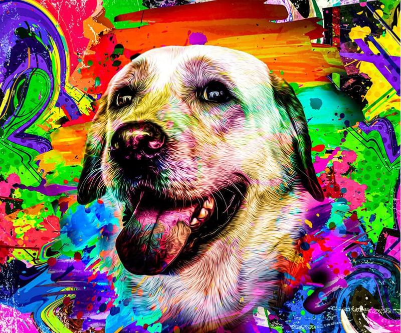 Tinte para Pelo de Perro WELYEME Púrpura 150 ml Permanente y Seguro