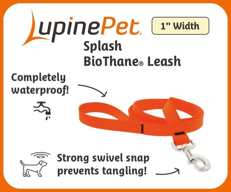Correa LupinePet impermeable BioThane de 2 m color azul intenso