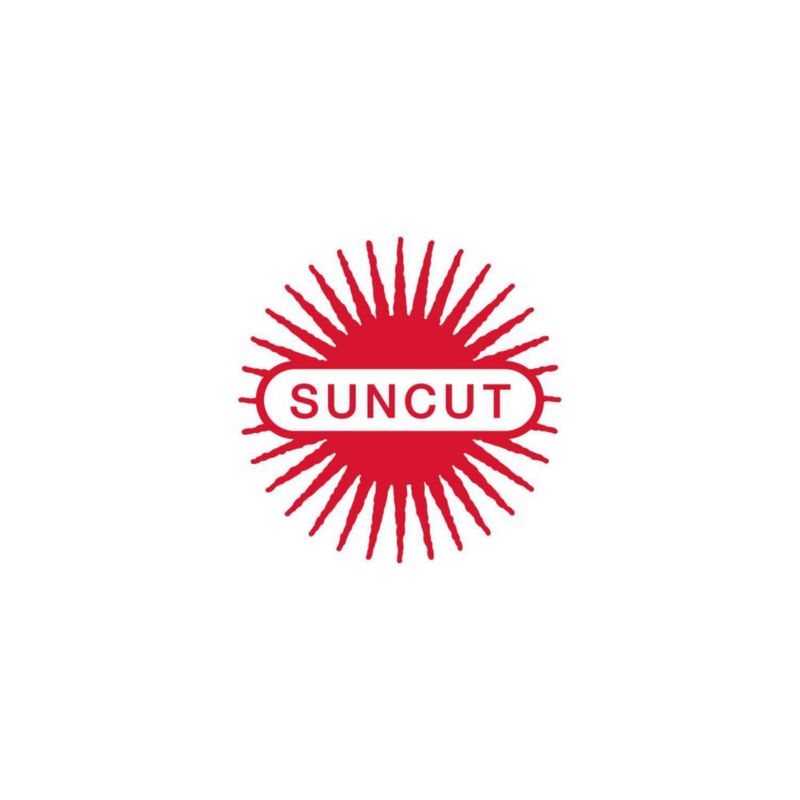 Protector solar Suncut Perfect UV Essence 80 g SPF50+ PA++++