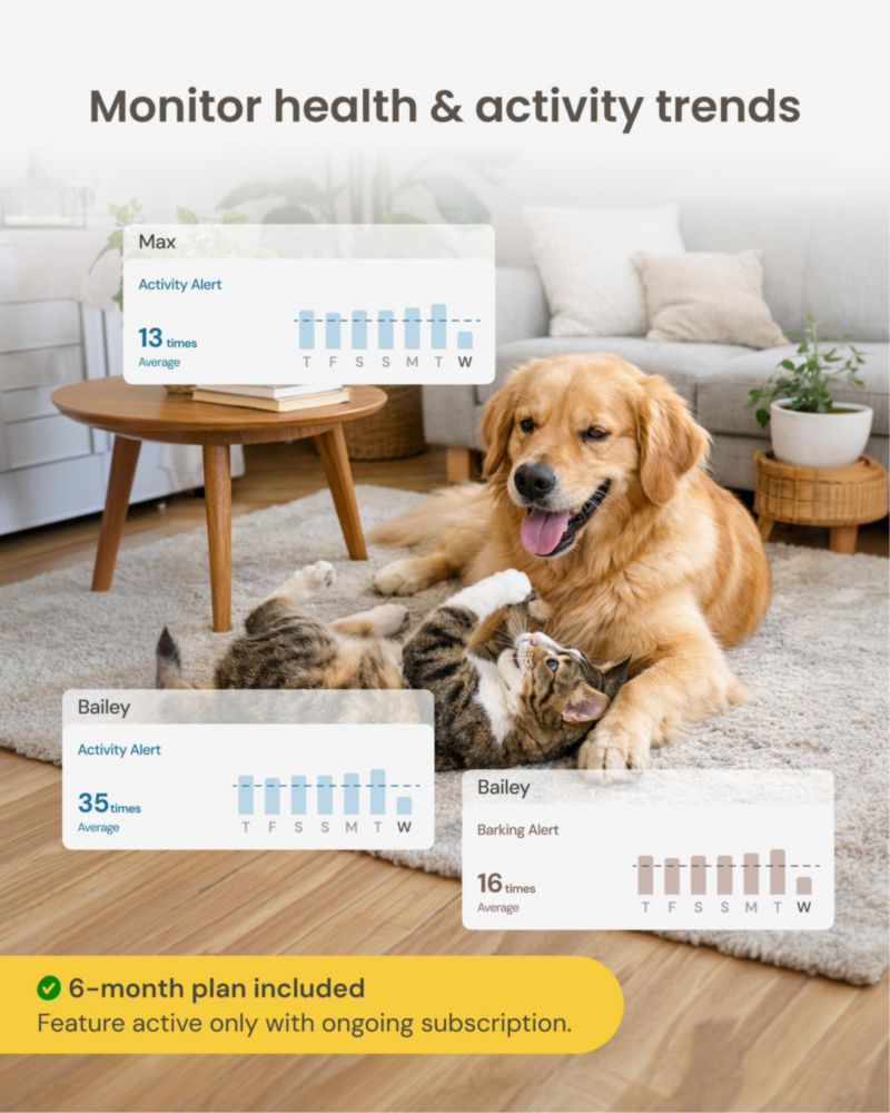 Cámara para mascotas Furbo Mini con suscripción de 6 meses incluida