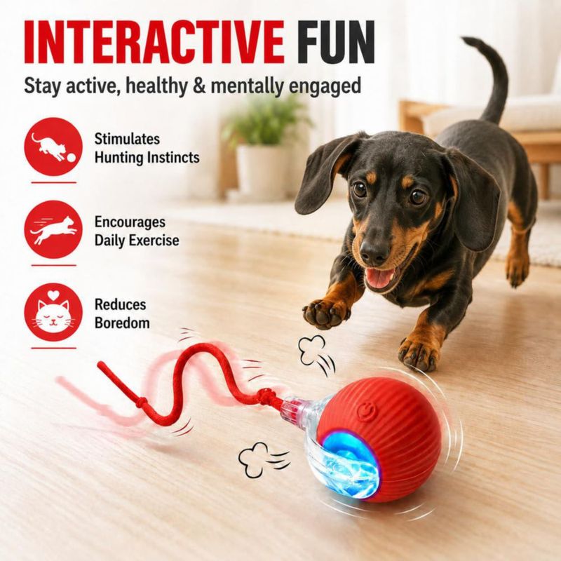Pelota Interactiva Automática SilveWillo para Gatos y Perros