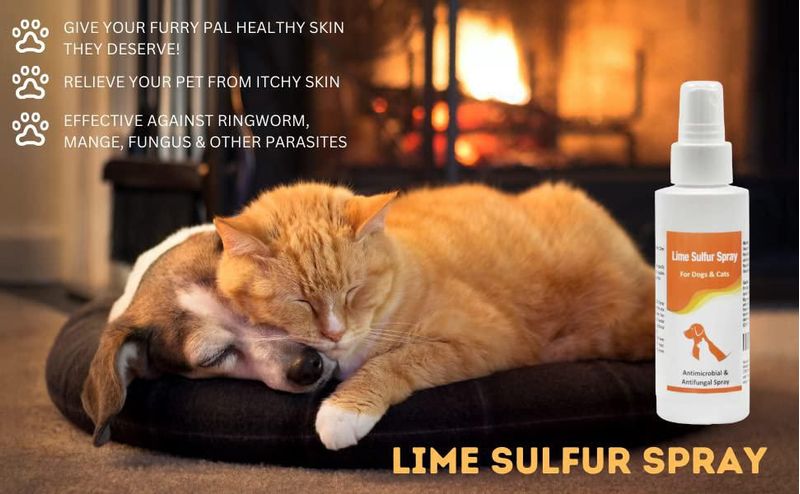 Paquete Healthy Paw Life de Limpiador para Mascotas 120 ml/60 ml/240 ml