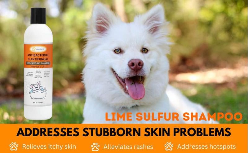 Paquete Healthy Paw Life de Limpiador para Mascotas 120 ml/60 ml/240 ml