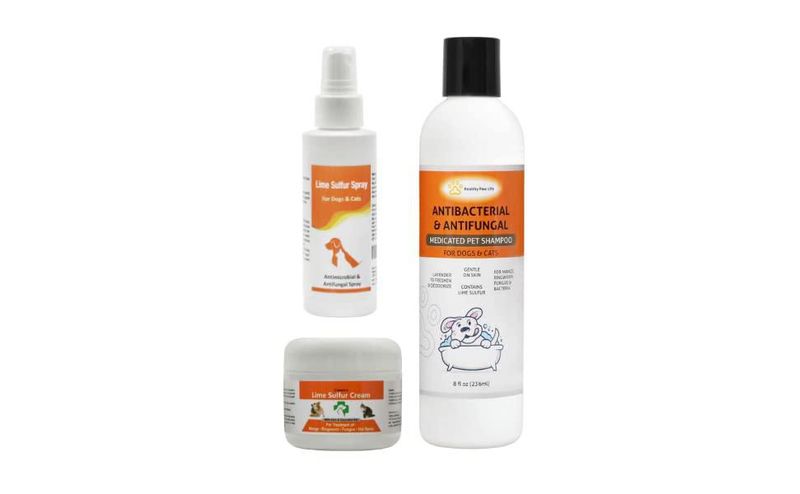 Paquete Healthy Paw Life de Limpiador para Mascotas 120 ml/60 ml/240 ml