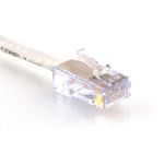 Cable Ethernet Networx Cat 6 30 cm Blanco 10 Gbps