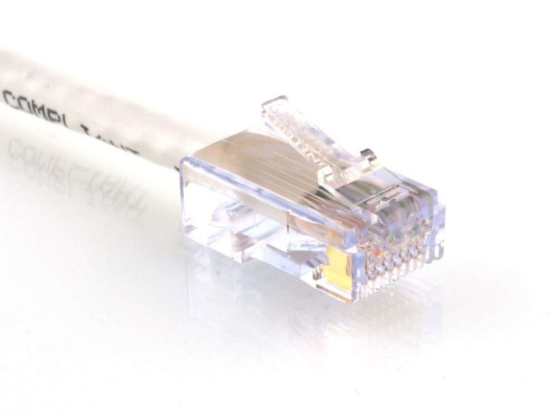 Cable Ethernet Networx Cat 6 30 cm Blanco 10 Gbps