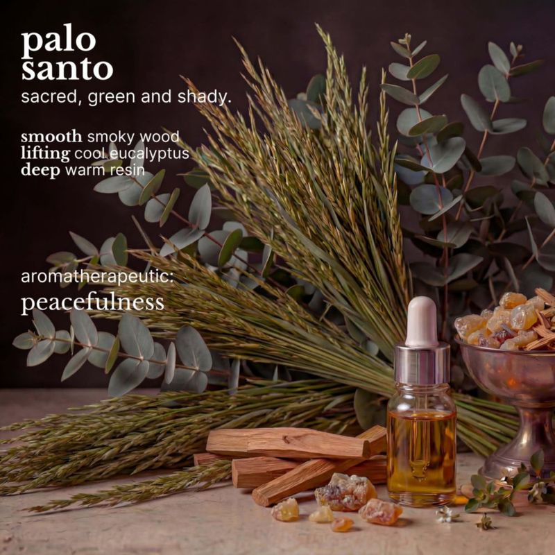 Red Flower Gel de Ducha Hidratante con Palo Santo 300 ml