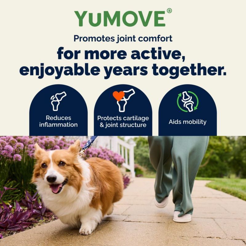 Suplemento Articular para Perros YuMOVE Advanced 45 unidades de golosinas blandas
