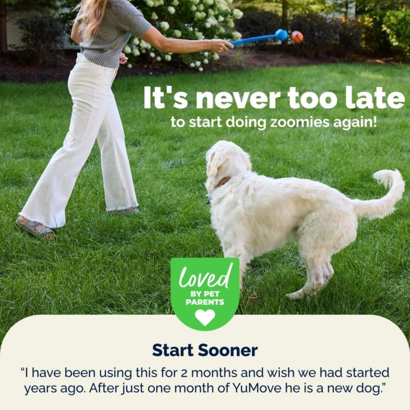 Suplemento Articular para Perros YuMOVE Advanced 45 unidades de golosinas blandas