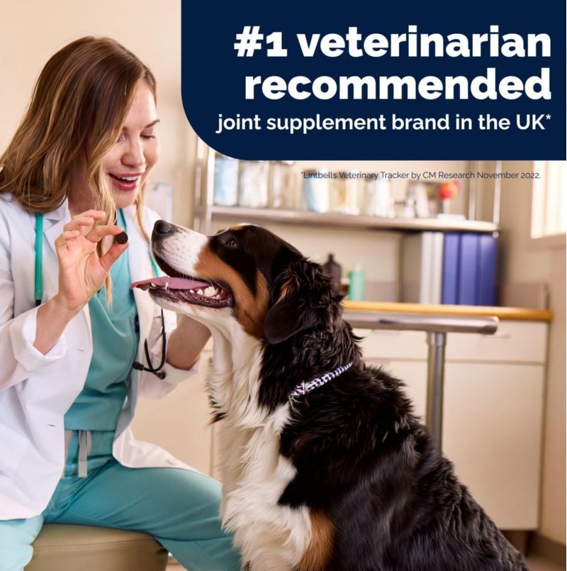 Suplemento Articular para Perros YuMOVE Advanced 45 unidades de golosinas blandas