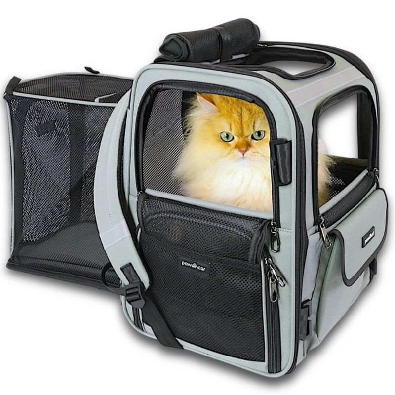 Mochila transportadora para gatos pawsincar certificada en pruebas de choque y expandible