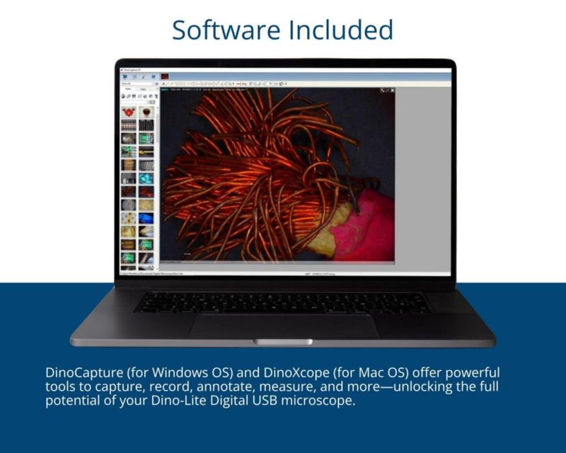 Microscopio digital Dino-Lite AM4111T 1.3 MP 20x-200x USB