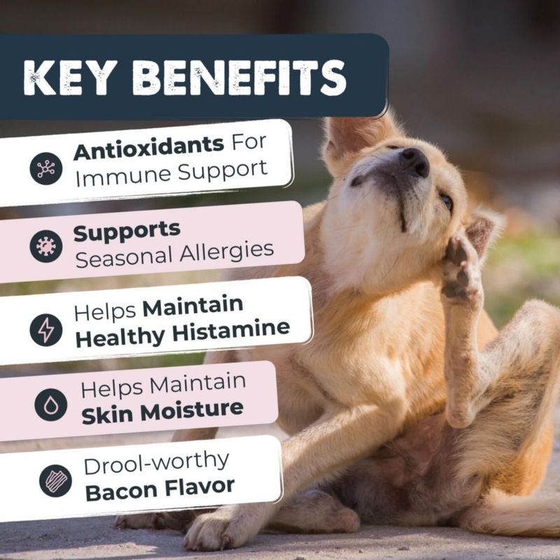 Masticables para perros Mighty Paw Alergia Inmune + Picor 240 unidades