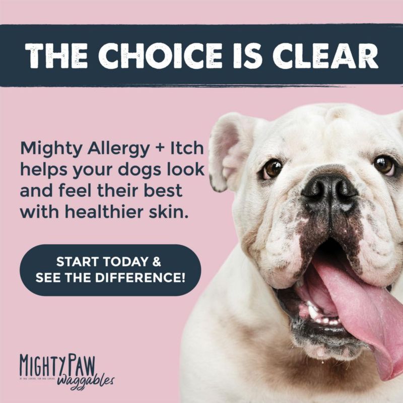 Masticables para perros Mighty Paw Alergia Inmune + Picor 240 unidades