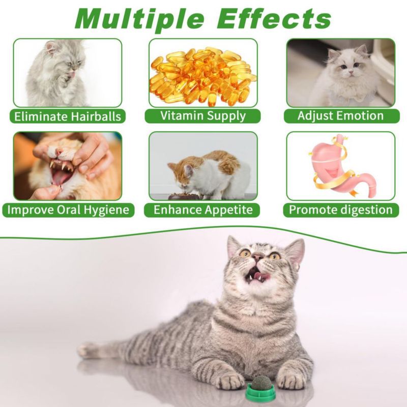 Bolas de hierba gatera CCINEE 6 piezas comestibles para gatos mordedor para gatitos
