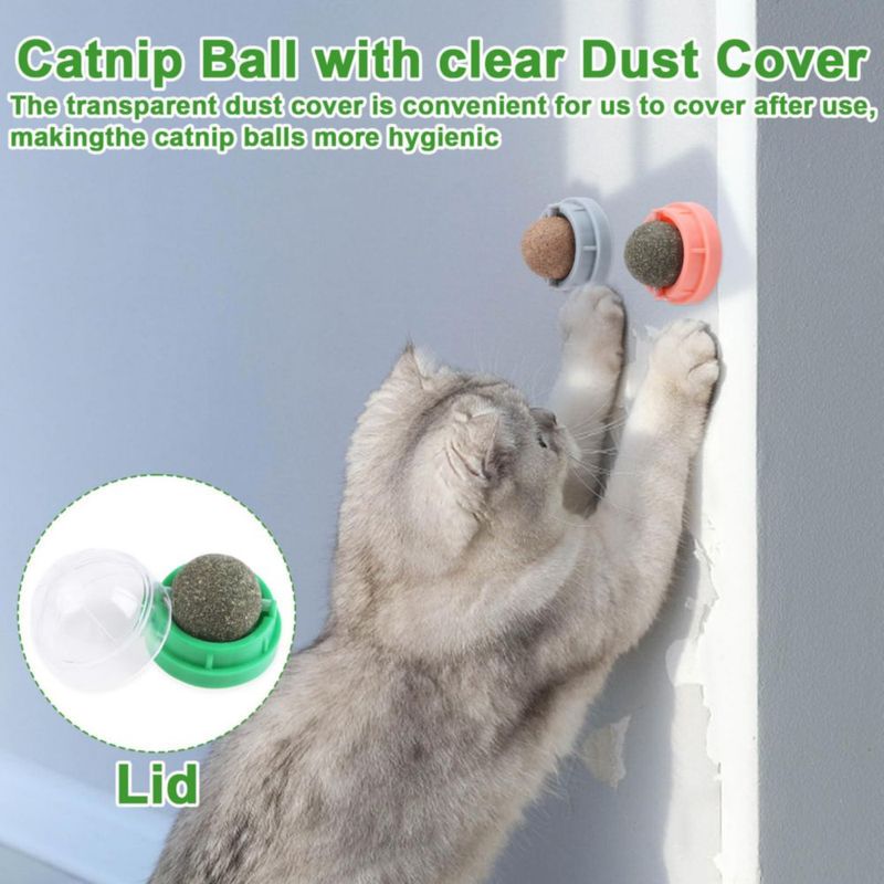 Bolas de hierba gatera CCINEE 6 piezas comestibles para gatos mordedor para gatitos