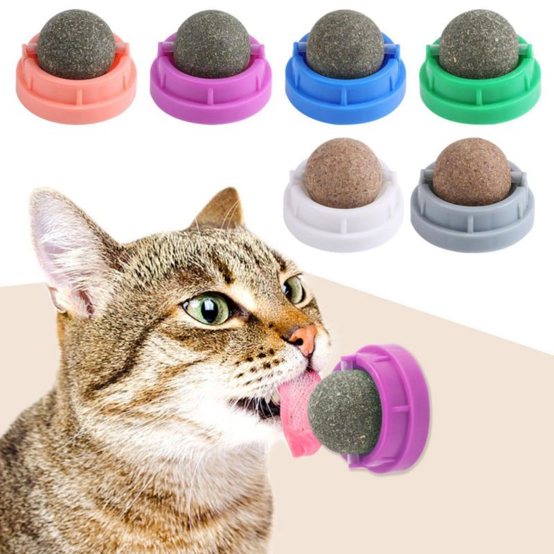 Bolas de hierba gatera CCINEE 6 piezas comestibles para gatos mordedor para gatitos