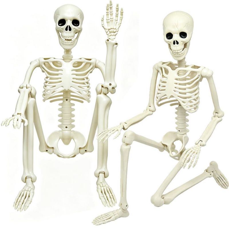 Esqueleto LUKBERA 91 cm Pack de 2 Posable de Plástico