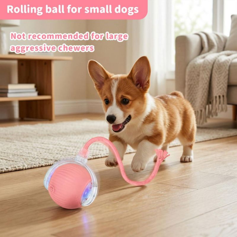 Juguete automático de bola rodante rosa MAXTOOA para gato
