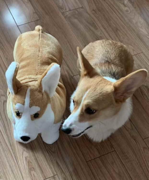 Peluche Realista WOKI Corgi 51 cm Animal de Peluche