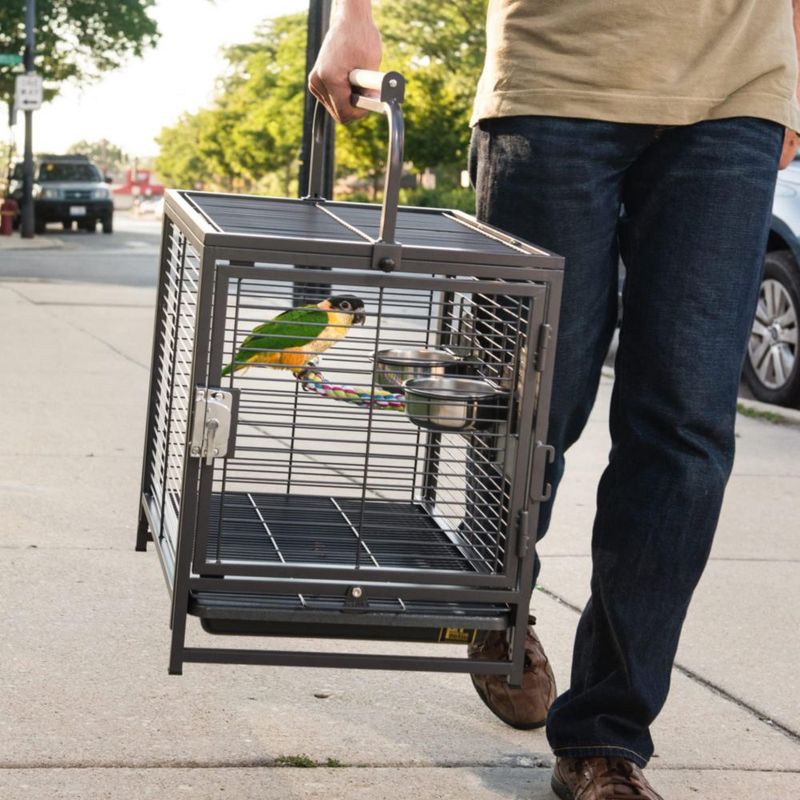 Travel Carrier Prevue Pet Products for Birds Black 18.8 L