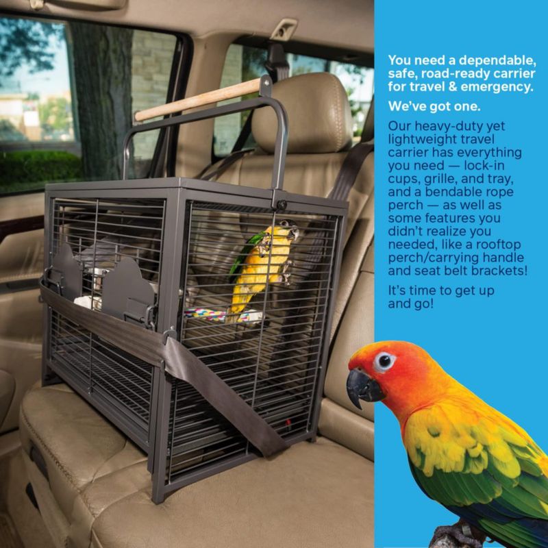 Travel Carrier Prevue Pet Products for Birds Black 18.8 L