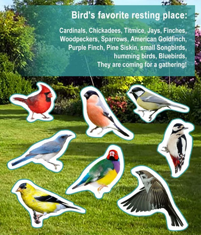 Bebedero para aves Garbuildman XL independiente color chocolate 71 cm