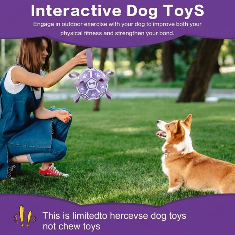 Pelota de fútbol para perros Kylinsure 15 cm con correas color morado