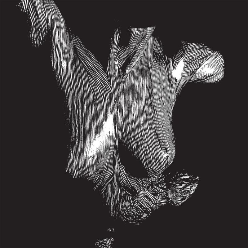 Vinilo The Orchard – Self Preserved (3LP)