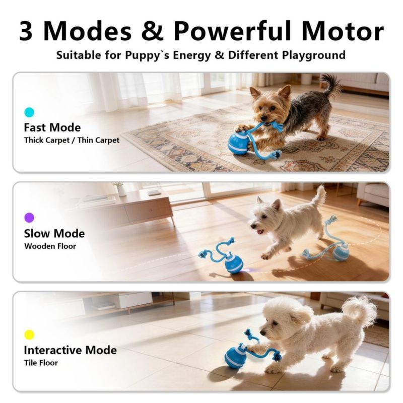 Juguete Interactivo para Perro KiwiLove Recargable USB‑C
