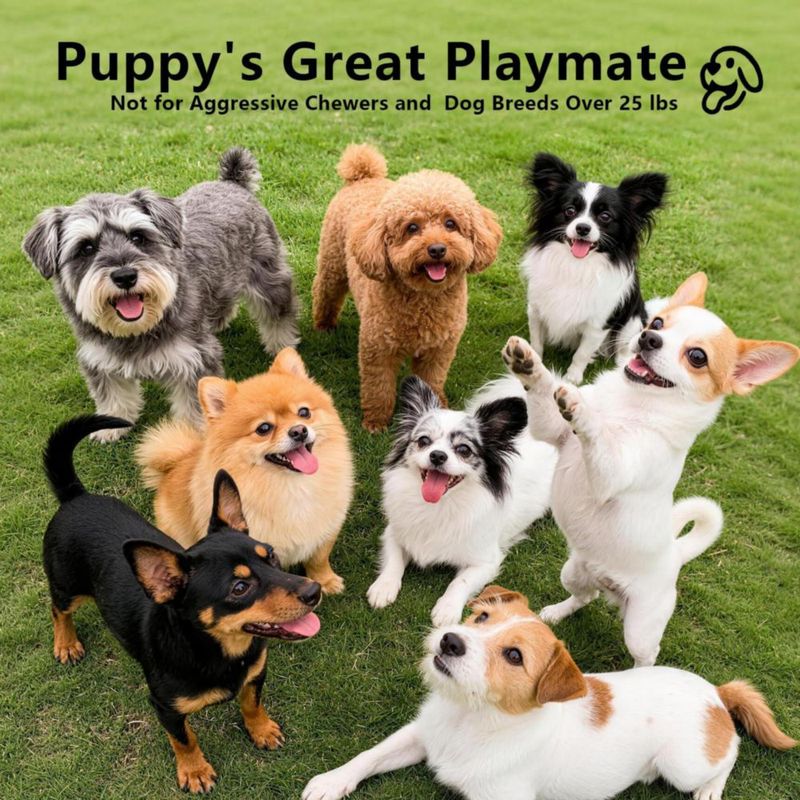 Juguete Interactivo para Perro KiwiLove Recargable USB‑C