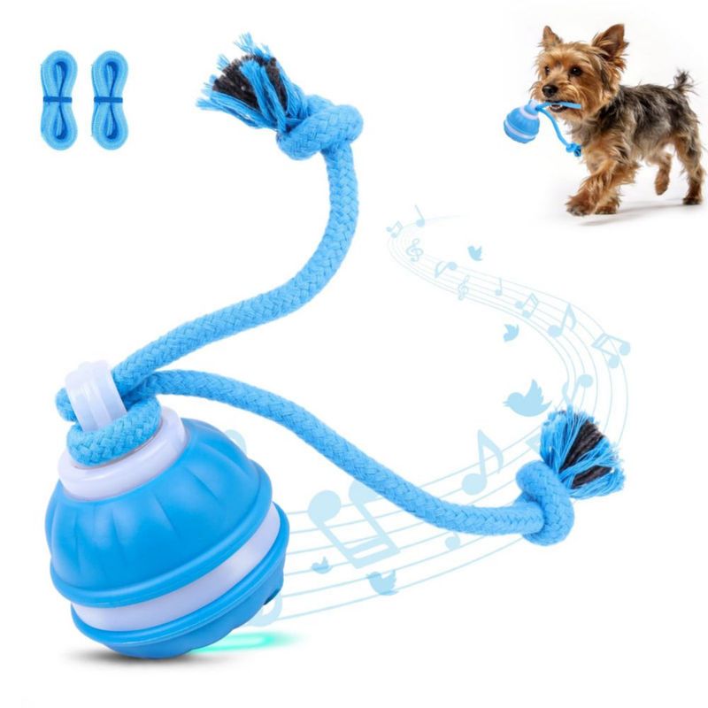 Juguete Interactivo para Perro KiwiLove Recargable USB‑C